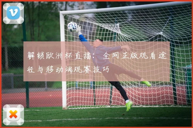 解锁欧洲杯直播：全网正版观看途径与移动端观赛技巧