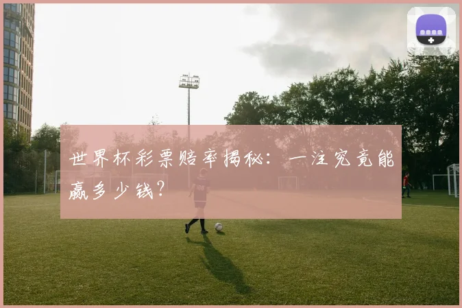 世界杯彩票赔率揭秘:一注究竟能赢多少钱?