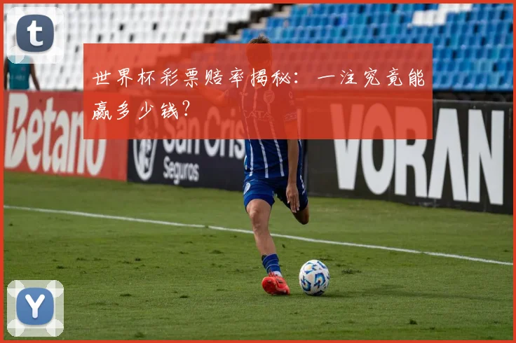 世界杯彩票赔率揭秘:一注究竟能赢多少钱?