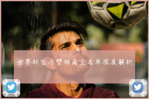 世界杯官方赞助商全名单深度解析