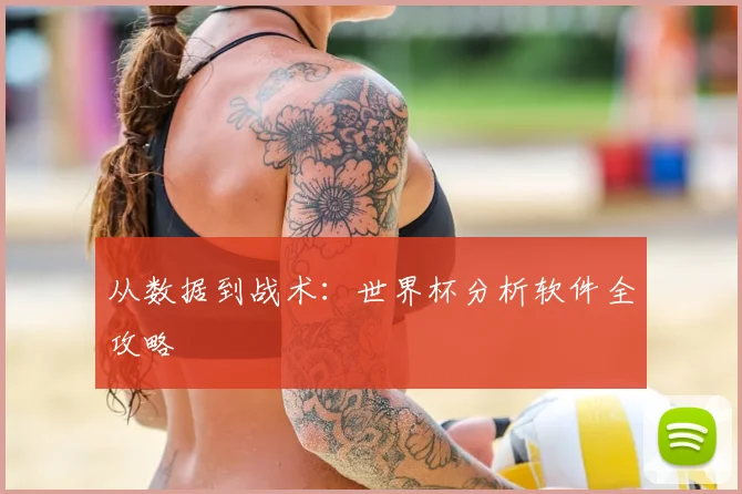 从数据到战术：世界杯分析软件全攻略