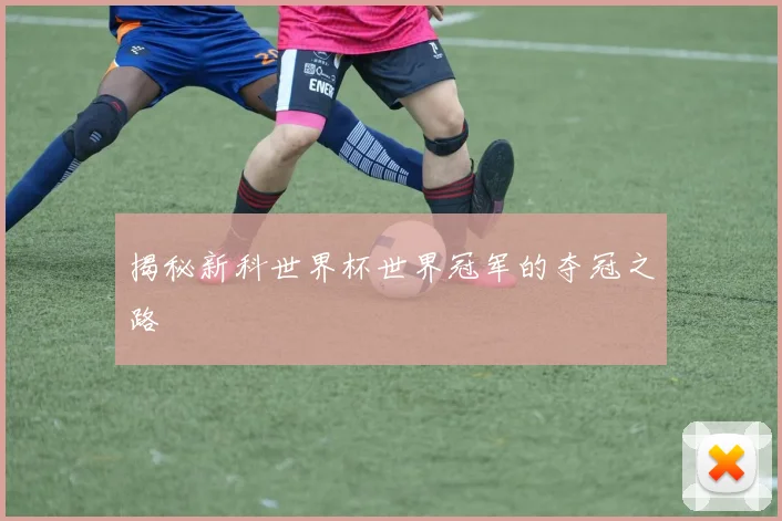 揭秘新科世界杯世界冠军的夺冠之路