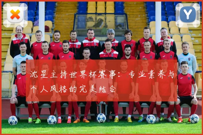 沈星主持世界杯赛事：专业素养与个人风格的完美结合