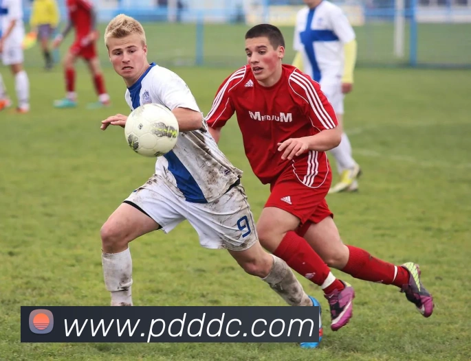 开云手机登录官网平台生态图